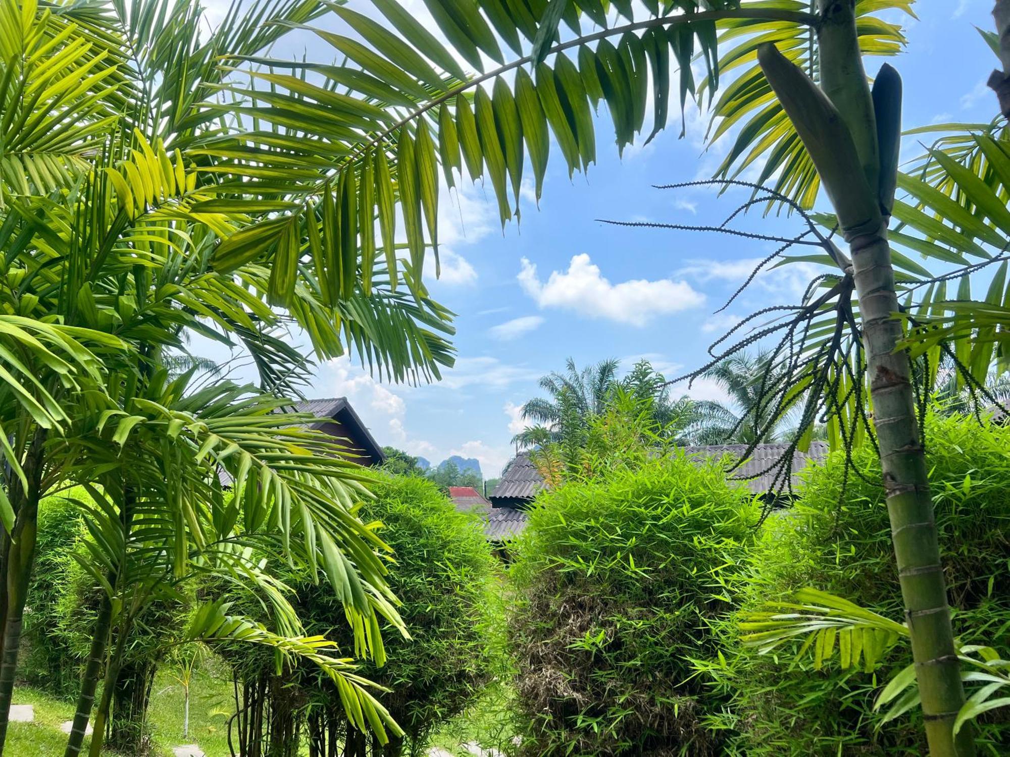 パーム キリ アオナン リゾート Ao Nang エクステリア 写真
